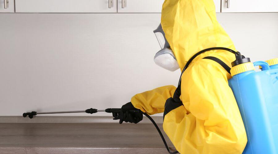 Professional pest control services in Melbourne
